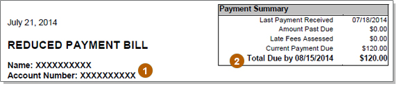 Reduced Payment Bill Screenshot